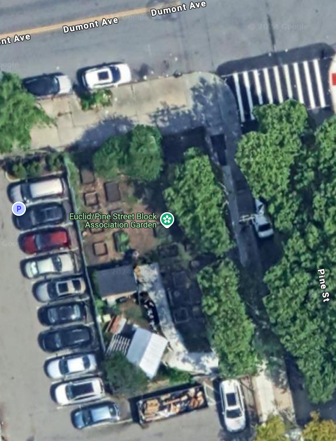 The Euclid and Pine Association's growing space.