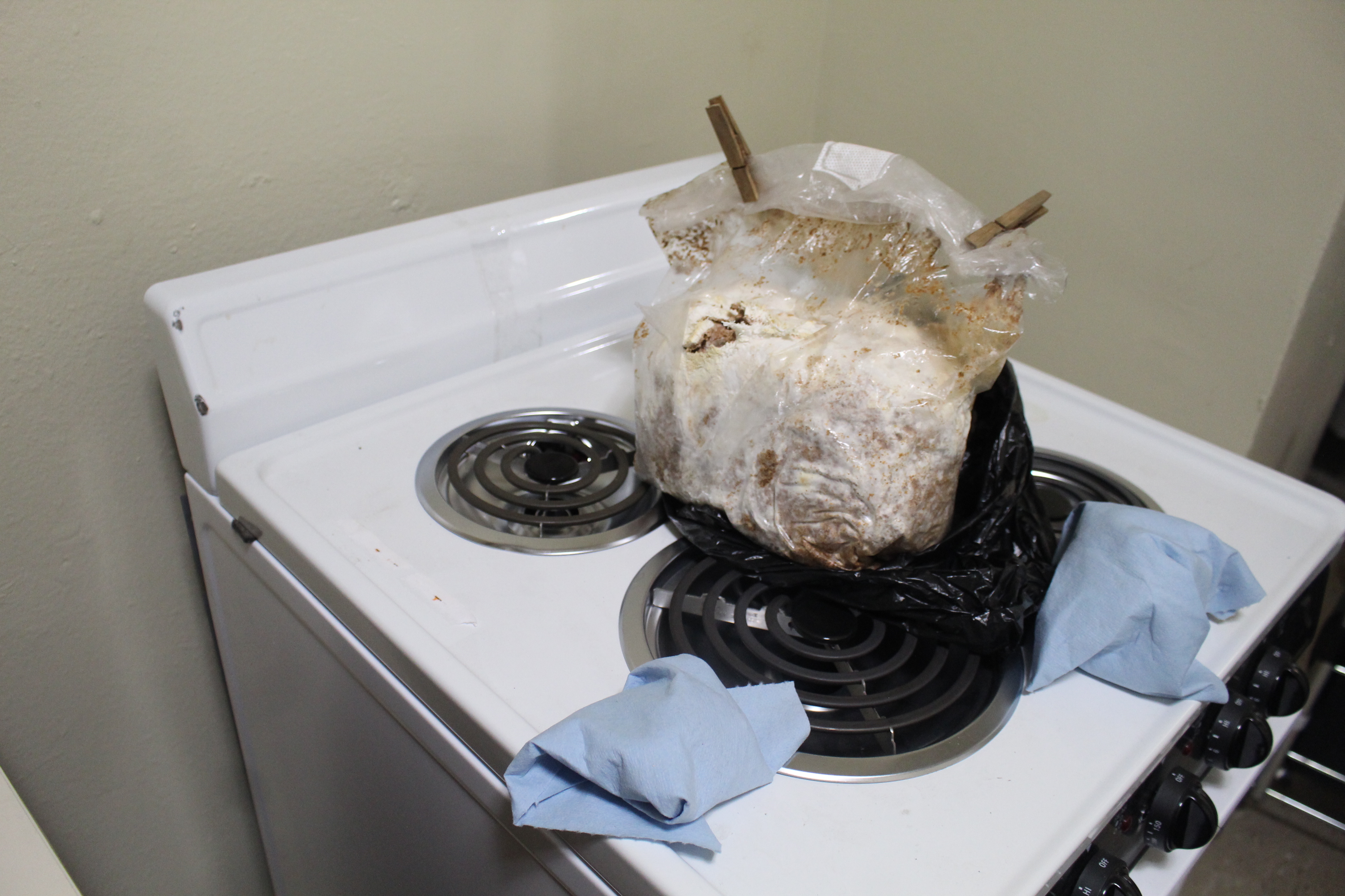Removed fruits, wrapped for refrigeration