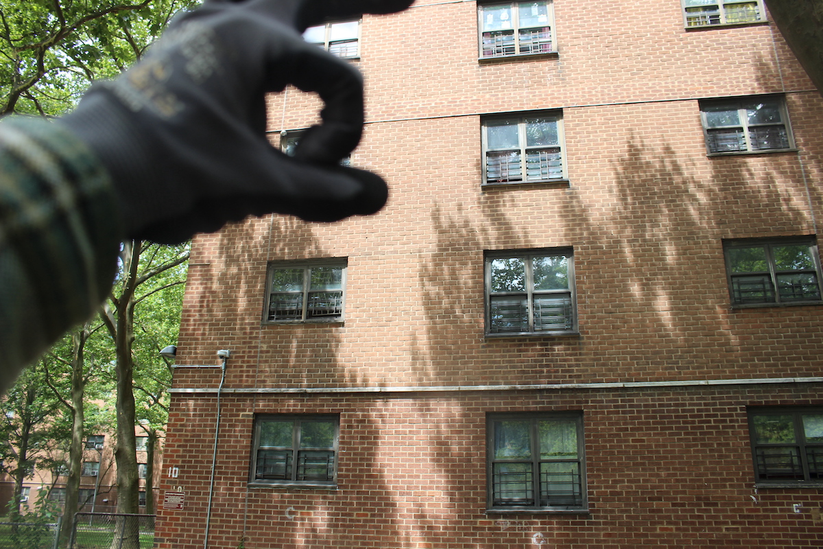 Broad view of the wall that bears the aforementioned wasp nest.