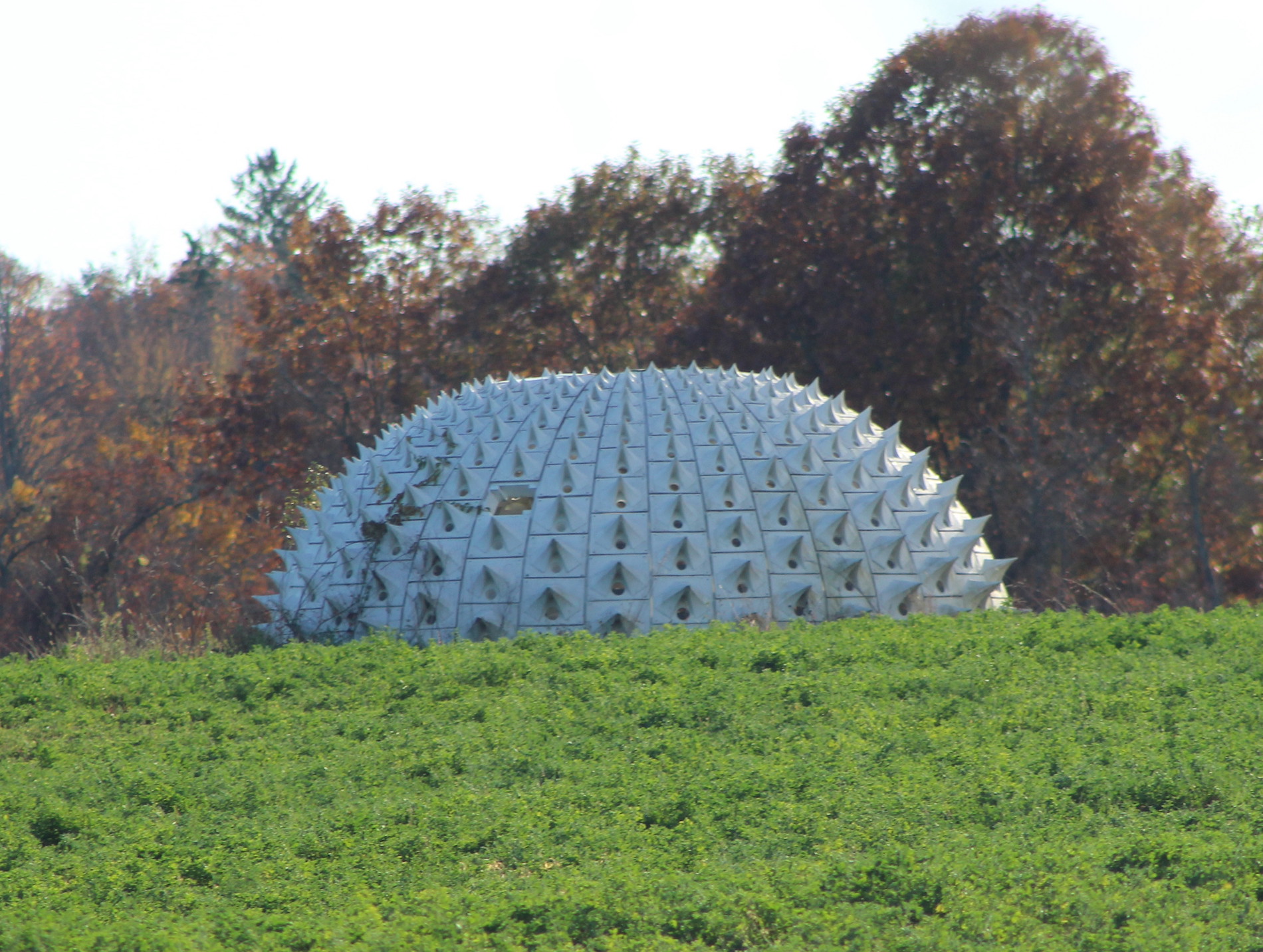 Picture of the Pollinators' Pavillion in upstate New York